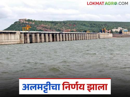 Almatti Dam : Big decision regarding water release from Almatti Dam; Know the details | Almatti Dam : अलमट्टी धरणातून पाणी सोडण्याविषयी मोठा निर्णय; जाणून घ्या सविस्तर