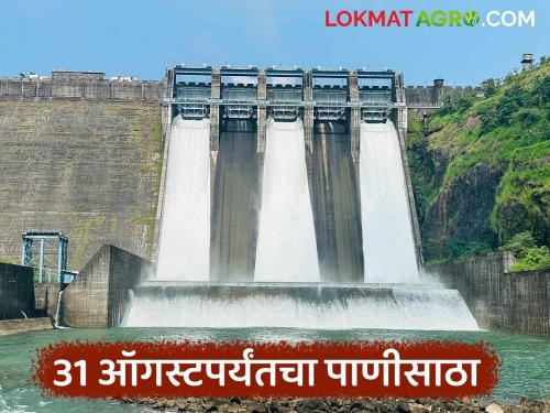 Latest news 17 major dams in maharashtra overflowed at end of August, read full dam water storage | ऑगस्टच्या शेवटी राज्यातील 17 मोठी धरणे ओव्हरफ्लो झाली, वाचा राज्यातील पाणीसाठा 