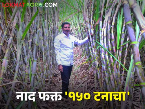 Amol won the Krishi Bhushan Award for record production of 150 tonnes of sugarcane per acre | एकरी १५० टन उसाच्या विक्रमी उत्पादनामुळे अमोलने घातली कृषिभूषण पुरस्काराला गवसणी