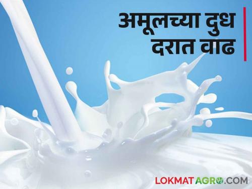 Amul Milk; Amul's milk price hiked by Rs 2 | Amul Milk 'अमूल'च्या दूधविक्री दरात दोन रुपयांची वाढ