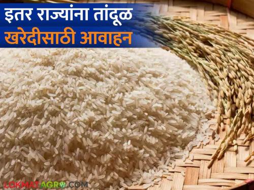 Latest News Sale of rice by food corporation, appeal to other states to buy, read in detail  | Rice Market : इतर राज्यांना तांदूळ खरेदीसाठी आवाहन का केलं जातंय? जाणून घ्या सविस्तर