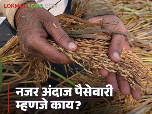 Latest News Agriculture News what is paisevari Forecast of Kharif season crops will be 64 paise | Agriculture News : खरीप हंगामातील पिकांची नजर अंदाज पैसेवारी ६४ पैसे, सवलती मिळतील का? 