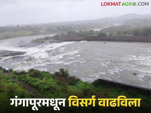 Latest News Gangapur Dam 14 dams of Nashik filled to brim discharge increased | नाशिकची 14 धरणे काठोकाठ भरली, गंगापूर धरणही 97 टक्क्यांवर, विसर्ग वाढविला 