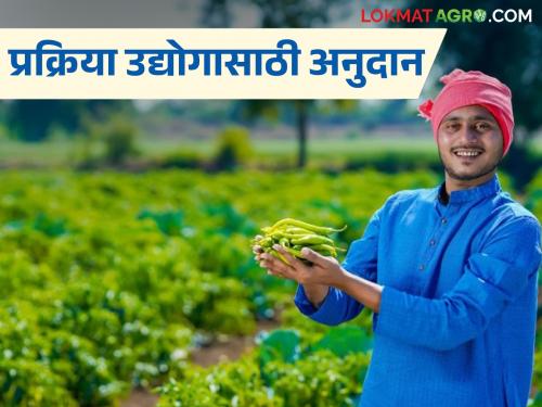 Latest News 35 percent subsidy is being provided for fruits, vegetables, and milk processing industries, read in detail | फळे, भाजीपाला, दूध प्रक्रिया उद्योगासाठी 35 टक्के अनुदान मिळतंय, वाचा सविस्तर 
