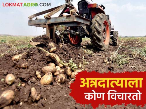 The production of agricultural products has increased in the country, but the money pocket of the farmer is empty read more | देशात शेतमालाचे उत्पादन तर वाढले पण अन्नदात्याचा खिसा मात्र रिकामाच वाचा सविस्तर