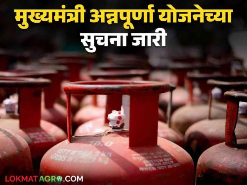 Ladki Bahin Yojana : Women get free gas cylinder | Ladki Bahin Yojana : सुधारित मार्गदर्शक सूचना जारी; लडक्या बहिणींनो अटींची पुर्तता करा आणि गॅस सिंलेडर मोफत मिळवा