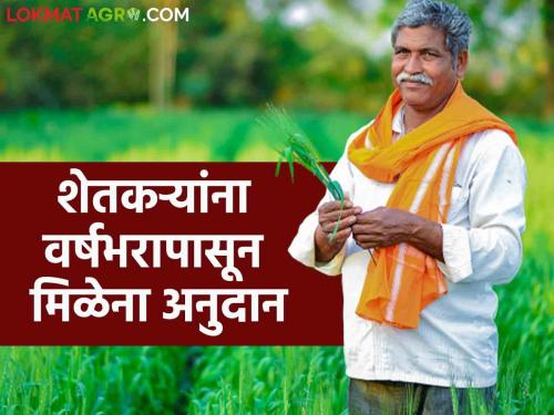 Farmer scheme : Waiting for Micro Irrigation Scheme; Three and a half thousand farmers have not received subsidy since last year | farmer scheme : सूक्ष्म सिंचन योजनेची प्रतीक्षा; साडेतीन हजार शेतकऱ्यांना वर्षभरापासून मिळेना अनुदान