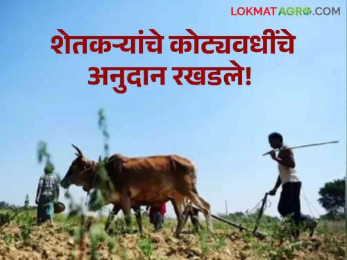 Latest news Agriculture News Excessive spending on government programs but Farmers' subsidy worth crores of rupees stopped | Agriculture News : सरकारी याेजनांवर वारेमाप खर्च, मात्र शेतकऱ्यांचे काेट्यवधींचे अनुदान रखडले!