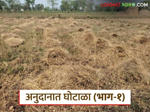 latest news Anudan Vatap Ghotala: Misappropriation of natural disaster grant: When will action be taken against the culprits? Read in detail | Anudan Vatap Ghotala: नैसर्गिक आपत्ती अनुदानाचा अपहार: दोषींवर कारवाई होणार तरी कधी? वाचा सविस्तर