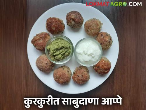 latest news Ashadhi Ekadashi Special: Ashadhi Ekadashi Special! Learn the easy method of making sabudana appe in detail | Ashadhi Ekadashi Special : आषाढी एकादशी स्पेशल! साबुदाणा आप्पे बनवण्याची सोपी पद्धत जाणून घ्या सविस्तर