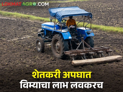 Gopinath Munde Farmer Accident Insurance; Agriculture department settled 2453 claims, money soon transfer in farmers' accounts | गोपीनाथ मुंडे शेतकरी अपघात विमा; कृषी विभागाने २४५३ दावे निकाली काढले, पैसे लवकरच शेतकऱ्यांच्या खात्यावर