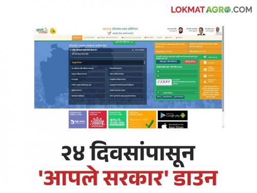 Aple Sarkar Portal : 'Aaple Sarkar' down for 24 days; Other certificates including income, caste certificate are pending | Aple Sarkar Portal : २४ दिवसांपासून 'आपले सरकार' डाउन; उत्पन्न, जातीचा दाखला यांसह इतर प्रमाणपत्रे प्रलंबित