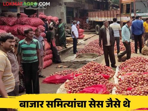 APMC Cess : Cess of Agricultural Produce Market Committees continued as like pervious, Govt Ordinance Finally Back | APMC Cess : कृषी उत्पन्न बाजार समित्यांच्या सेस जैसे थे, सरकारचा अध्यादेश अखेर मागे