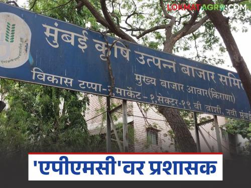 APMC Market : Administrator finally appointed to Asia's largest agricultural produce market committee | APMC Market : आशियातील सर्वात मोठ्या कृषी उत्पन्न बाजार समितीवर अखेर प्रशासकाची नियुक्ती