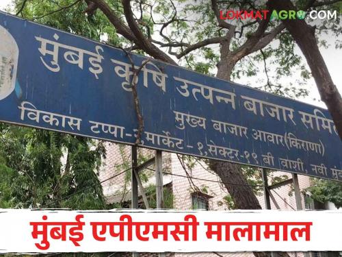 Mumbai APMC; Mumbai Agricultural Produce Market Committee get good Income; 117 crores of income in the year | Mumbai APMC मुंबई कृषी उत्पन्न बाजार समिती झाली मालामाल; वर्षात ११७ कोटीचे उत्पन्न