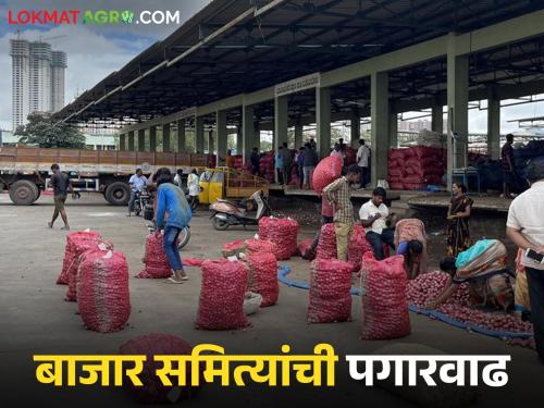 The honorarium of the chairpersons and vice-chairpersons of market committees in the state will increase; how much increase will be given to whom? | राज्यातील बाजार समित्यांच्या सभापती, उपसभापतींच्या मानधनात होणार वाढ; कुणाला किती वाढ?