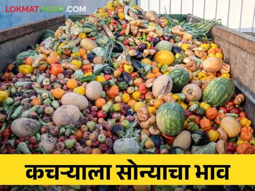 The price of gold coming to waste in Mumbai Agricultural Produce Market Committee | मुंबई कृषी उत्पन्न बाजार समितीतील कचऱ्याला येणार सोन्याचा भाव