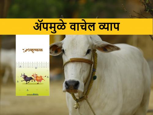 Pune agriculture college developed an app for livestock and dairy farmers | पशुपालनाचे हे ॲप डाऊनलोड केलं तर दुधाचं उत्पादन वाढणार
