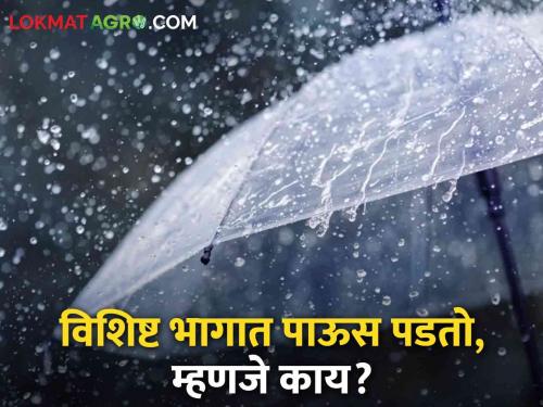 Latest News Why does it rain in certain areas of a village, city read in details | Rain Update : एखाद्या गाव, शहरात काही भागात पाऊस पडतो, म्हणजे नेमकं काय होत? वाचा सविस्तर 