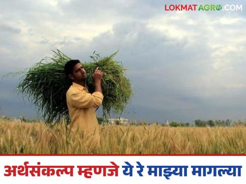 Latest News Agriculture Budget 2025 | Agriculture Budget : ना कर्जमाफी, ना कुठला दिलासा, अर्थसंकल्पावर शेतकरी प्रतिनिधी काय म्हणाले? वाचा सविस्तर 