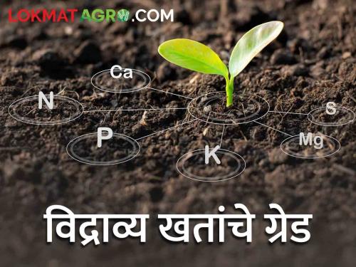 Water Soluble Fertilizer: How many grades of soluble fertilizers? Which nutrients in which grade.. read in detail | Water Soluble Fertilizer : विद्राव्य खतांच्या ग्रेड किती? कोणत्या ग्रेडमध्ये कोणती अन्नद्रव्ये.. वाचा सविस्तर