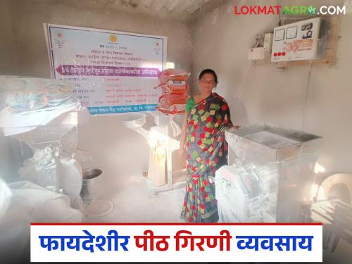 Latest News Bank rejects loan proposal, low-cost flour mill business turns profitable | कर्जासाठी बँकेने प्रस्ताव नाकारला, कमी खर्चातला पीठ गिरणीचा व्यवसाय फायदेशीर ठरला!