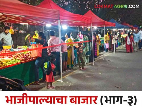 Farmer Week Market Scheme should be given a boost again | शेतकरी आठवडे बाजार योजनेला पुन्हा चालना मिळावी