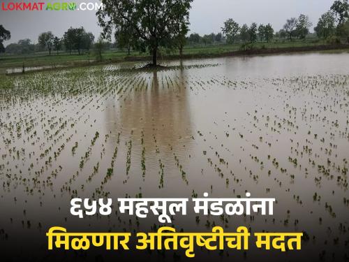 These districts of the state will soon receive assistance for the damage caused by heavy rains in August and September | राज्यातील 'या' जिल्ह्यांना मिळणार ऑगस्ट, सप्टेंबरमध्ये अतिवृष्टीमुळे झालेल्या नुकसानीची मदत