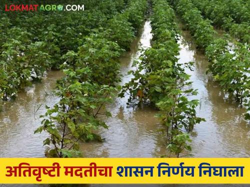 307 crores approved for distribution of funds for relief of crop damage due to heavy rains | अतिवृष्टीमुळे शेतीपिकांच्या झालेल्या नुकसानीच्या मदतीसाठी ३०७ कोटी निधी वितरणास मान्यता