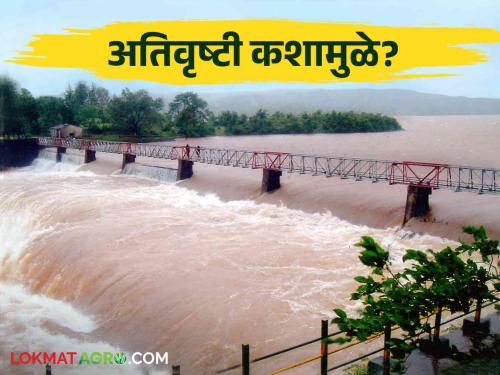 Why heavy rainfall in some areas and still drought in some places? | काही भागांत अतिवृष्टी तर काही ठिकाणी अजूनही दुष्काळ कशामुळे?