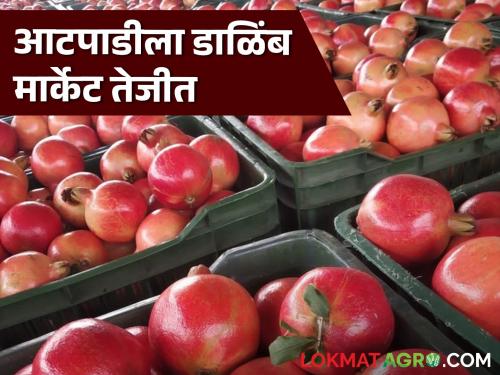 Dalimb Market : Demand for pomegranate increased in Shravan; Record price achieved in Atpadi market | Dalimb Market : श्रावणात डाळिंबाची मागणी वाढली; आटपाडी बाजारात मिळाला विक्रमी भाव