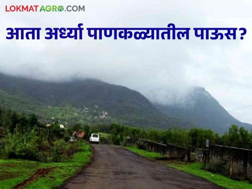 Latest news Maharashtra Rain Update How will the rain condition be in Maharashtra for august next week? Read in detail  | Maharashtra Rain Update : पुढील आठवडाभर महाराष्ट्रात पावसाची स्थिती कशी असेल? वाचा सविस्तर 