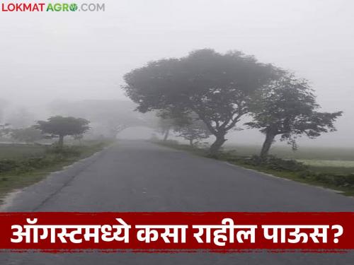 What will be the rainfall forecast for the month of August? Which week will see the most rainfall? | ऑगस्ट महिन्यात कसा राहील पावसाचा अंदाज? कोणत्या आठवड्यात जास्त पाऊस?