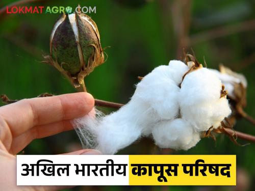 India should adopt improved Bt technology of cotton; Discussion at the All India Cotton Conference | भारताने कापसाचे सुधारित बीटी तंत्रज्ञान स्वीकारावे; अखिल भारतीय कापूस परिषदेत चर्चा