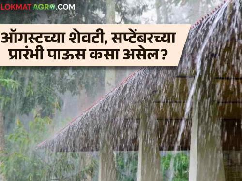 Latest News Maharashtra Rain Update Chance of rain in next two weeks in maharashtra Know in detail  | Maharashtra Rain Update : राज्यात पुढील दोन आठवडे पाऊस कसा असेल? जाणून घ्या सविस्तर 