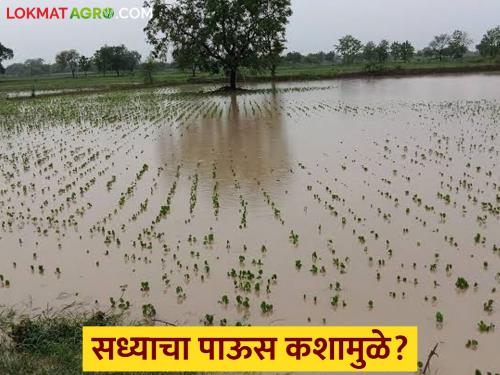 Latest News Maharashtra Rain reason for current heavy rain and How many days of rainRead in detail | Maharashtra Rain : सध्याचा मुसळधार पाऊस कशामुळे, अन् हा पाऊस कधीपर्यंत राहील? वाचा सविस्तर