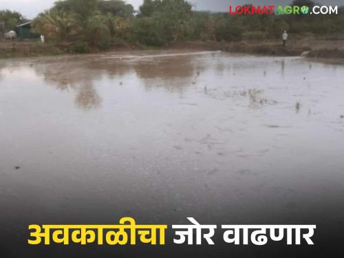 Heavy rain likely in the state for the next 3 days; Which areas will be more affected? | पुढील ३ दिवस राज्यात जोरदार पावसाची शक्यता; अधिक जोर कोणत्या भागात?