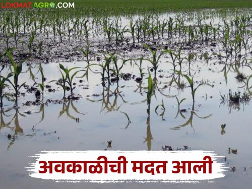 Funds have been received to compensate for the damage caused by unseasonal rains in the state between February and May | राज्यात फेब्रुवारी ते मे या कालावधीत अवकाळी पावसामुळे झालेल्या नुकसान भरपाईसाठी निधी आला