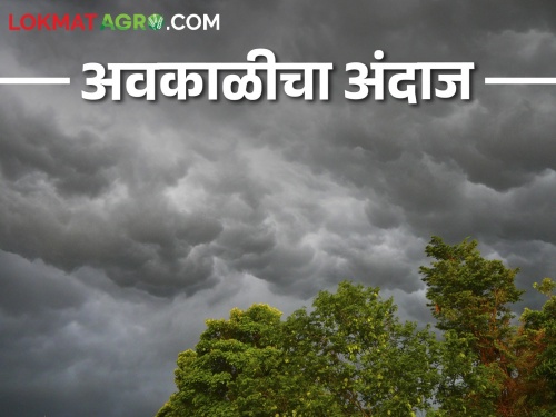 Maharashtra Weather Update Unseasonal rain forecast today | Maharashtra Weather Update आज अवकाळी पावसाचा अंदाज