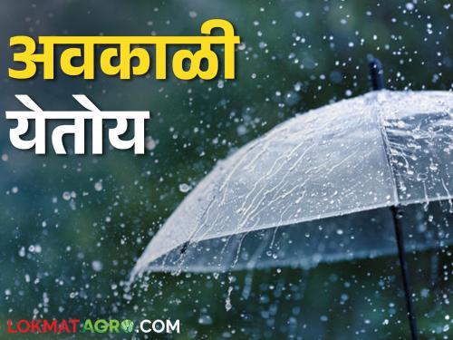 The next five days will be unseasonal rainfall | Maharashtra Weather Update पुढचे पाच दिवस अवकाळीचे सावट