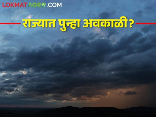 Is it coming avkali rain again? Chance of moderate rain with thundershowers | पुन्हा अवकाळी येतोय? ढगांच्या गडगडाटीसह मध्यम पावसाची शक्यता