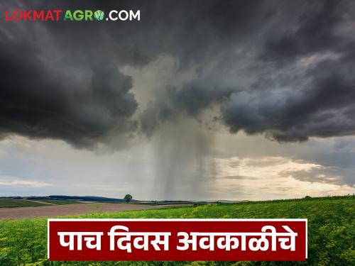 Thunderstorms and hailstorms are likely in these districts of the state for the next four to five days | राज्यात पुढील चार ते पाच दिवस या जिल्ह्यांत मेघगर्जनेसह गारपिटीची शक्यता