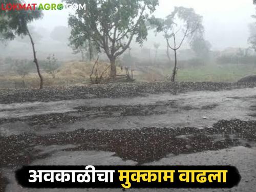 Monsoon arrives in Andaman; Unseasonal rains accompanied by lightning and strong winds will occur in these parts of the state | अंदमानात मान्सूनचे आगमन; राज्यात या जिल्ह्यांत वेगाच्या वाऱ्यासह अवकाळी बरसणार