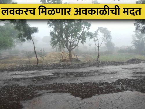 Avkali Rain Help; Submit Panchnamas proposals of all districts together | मदत अवकाळीची; सर्व जिल्ह्यांचे पंचनाम्यांचे प्रस्ताव एकत्रित सादर करा