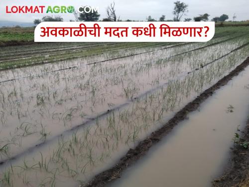 23.90 lakh farmers who have lost their crops due to bad weather will get compensation | अवकाळीमुळे शेतीचे नुकसान झालेल्या २३.९० लाख शेतकऱ्यांना मिळणार भरपाई