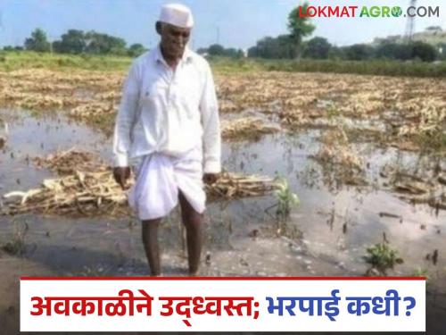 Awakali Paus: Unseasonal crisis before Kharif; Waiting for compensation! Read in detail | Awakali Paus : खरिपाच्या आधीच अवकाळीचे संकट; नुकसानभरपाईची प्रतीक्षा! वाचा सविस्तर