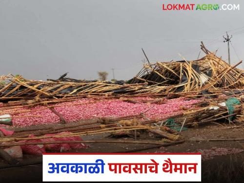 Awakali Paus: latest news Crops in Jalna are worthless; Read the order to conduct immediate Panchnama in detail | Awakali Paus: जालन्यातील पिके मातीमोल; तातडीने पंचनामे करण्याचे आदेश वाचा सविस्तर
