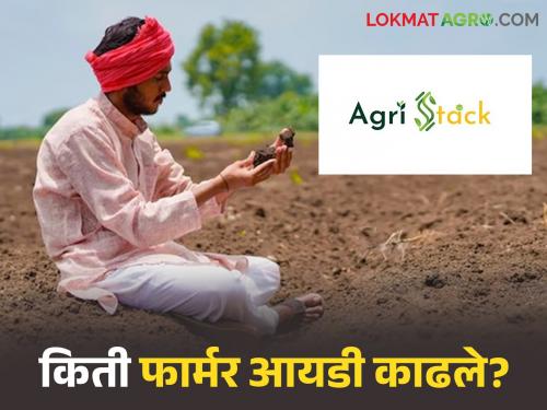 Latest News Farmer Id 69 percent of farmers in Nashik district have issued Farmer ID | नाशिक जिल्ह्यात 69 टक्के शेतकऱ्यांनीच काढले फार्मर आयडी; सुरगाणा अव्वल