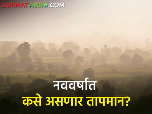 How will the temperature be in the new year? | नवीन वर्षात कसे असणार तापमान?