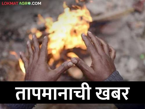 Jalgaon at 12 degrees, what about the temperature in the rest of the state? | जळगाव १२ अंशांवर, उर्वरित राज्यात तापमानाची काय खबरबात?